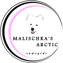Malischk'as Arctic