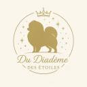 Élevage du Diadème des Étoiles