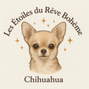 Les Étoiles du Rêve Bohème