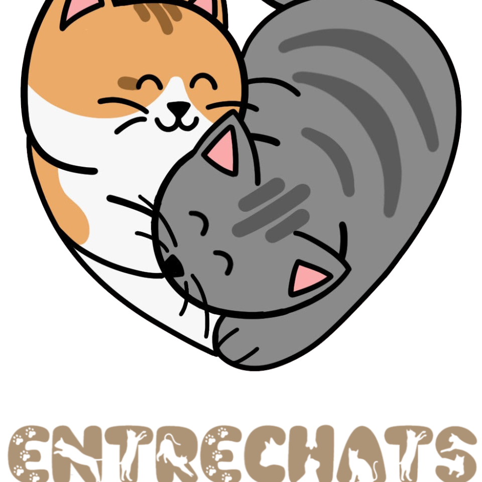 Entrechats 