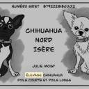 Chihuahua Nord Isère 