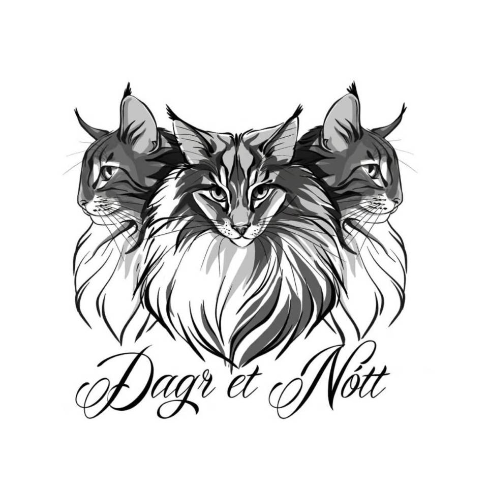 Chatterie Dagr & Nott 