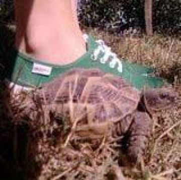 Jessica Bétous