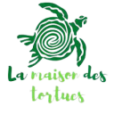 La Maison des Tortues