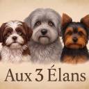 Anna Aux 3 élans