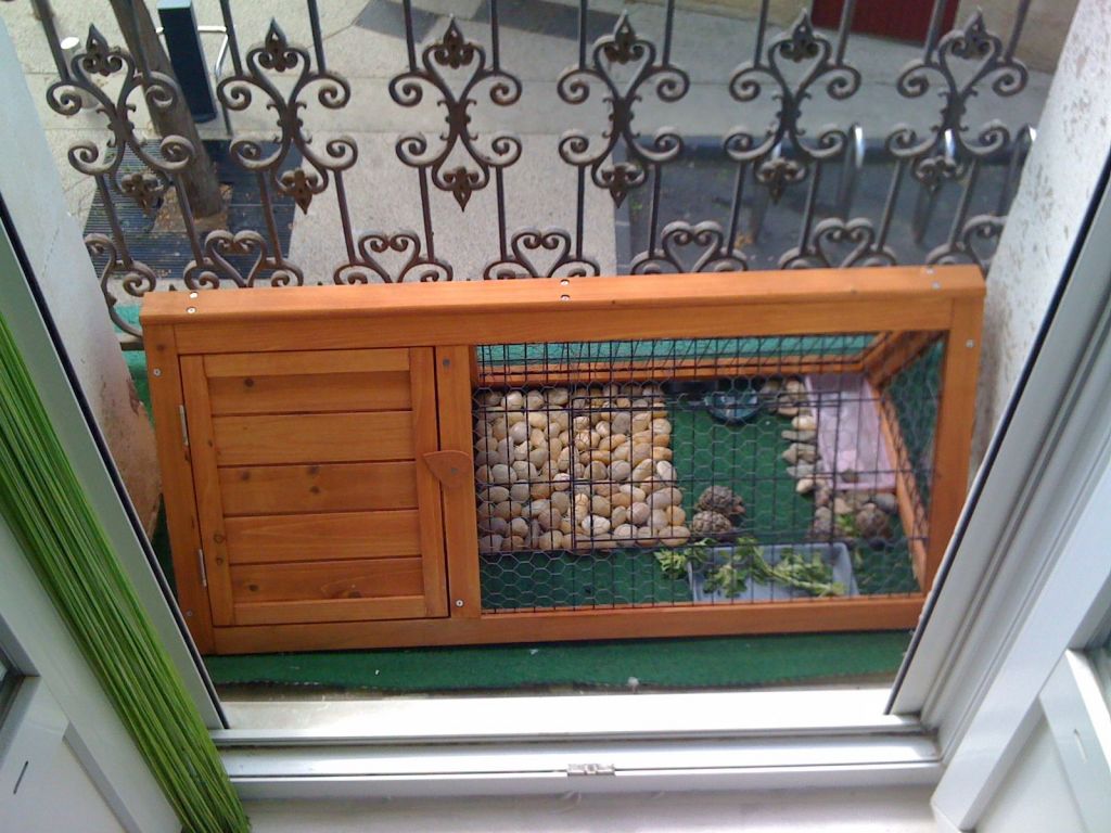 Mini-enclos petit balcon 12/09/18