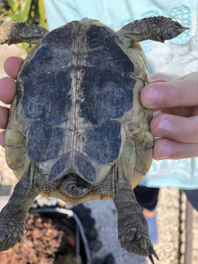 66B56FC0-0B02-4434-96B8-412B28713AE9