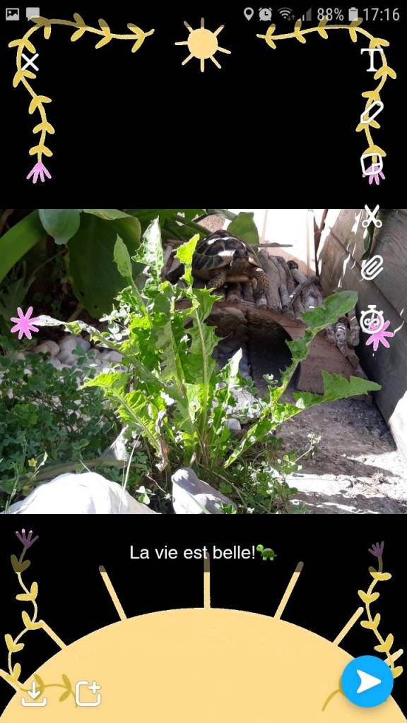 Screenshot_20190822-171614_Snapchat