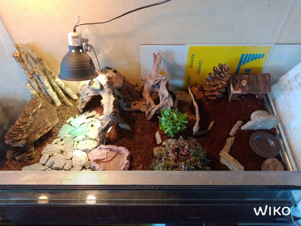 IMG_20201105_130405729