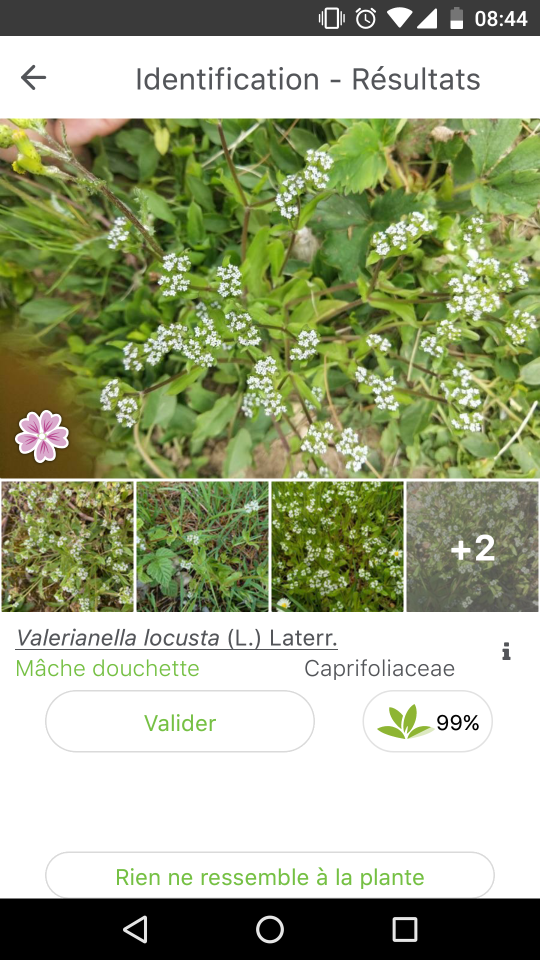 Screenshot_20210422-084428