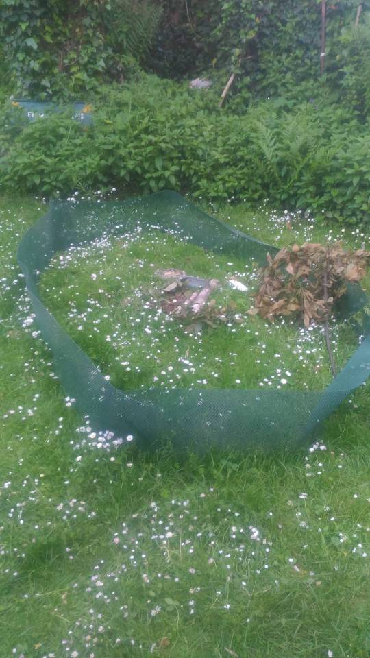 enclos de Ponyo