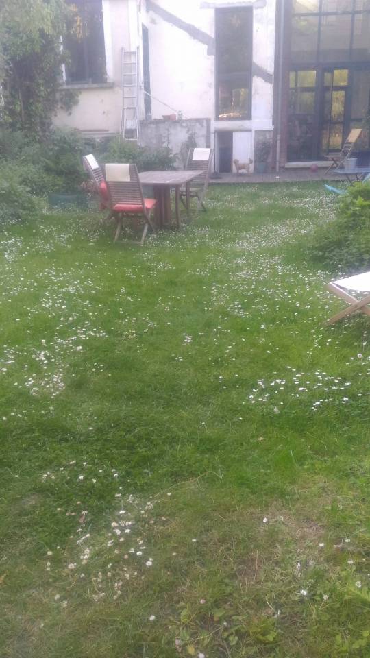 jardin
