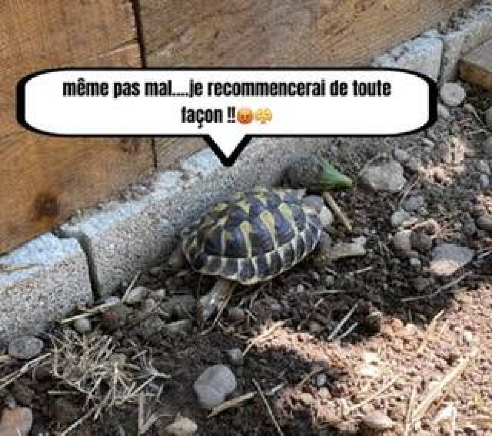 A0B388B3-FB61-47DA-8F2F-D8D7EF268682