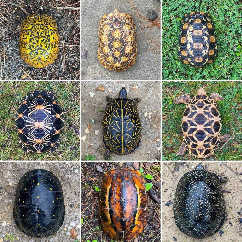 IMG_8100