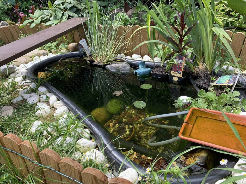 Bassin extérieur
