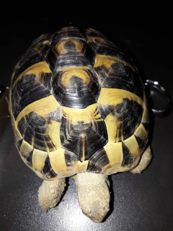 20190225_204531