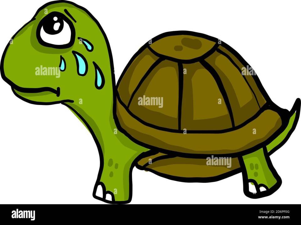 tortue-verte-pleurs-illustration-vecteur-sur-fond-blanc-2d6pf0g