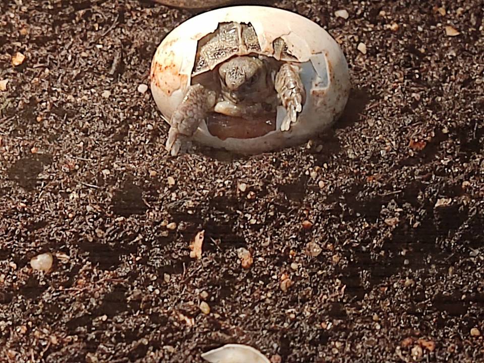 IMG_20210903_111412