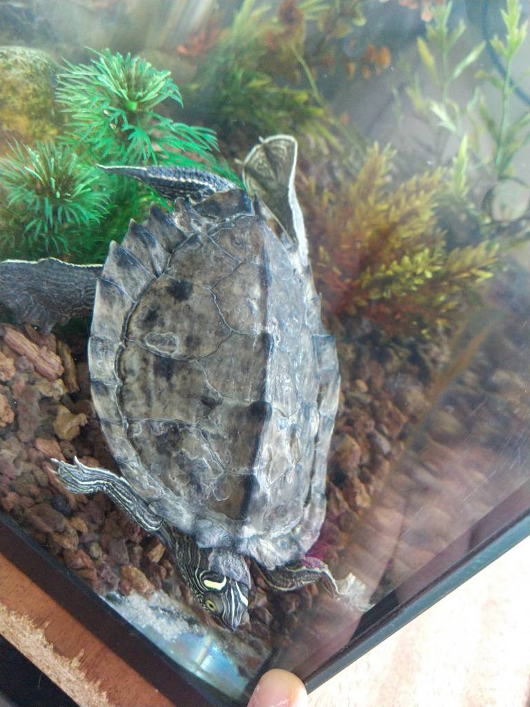 IMG_20210401_181425