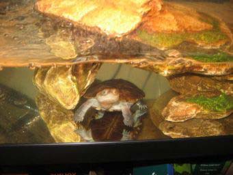 9db92c200e6373c4b7917335.jpg - IMG_8792
