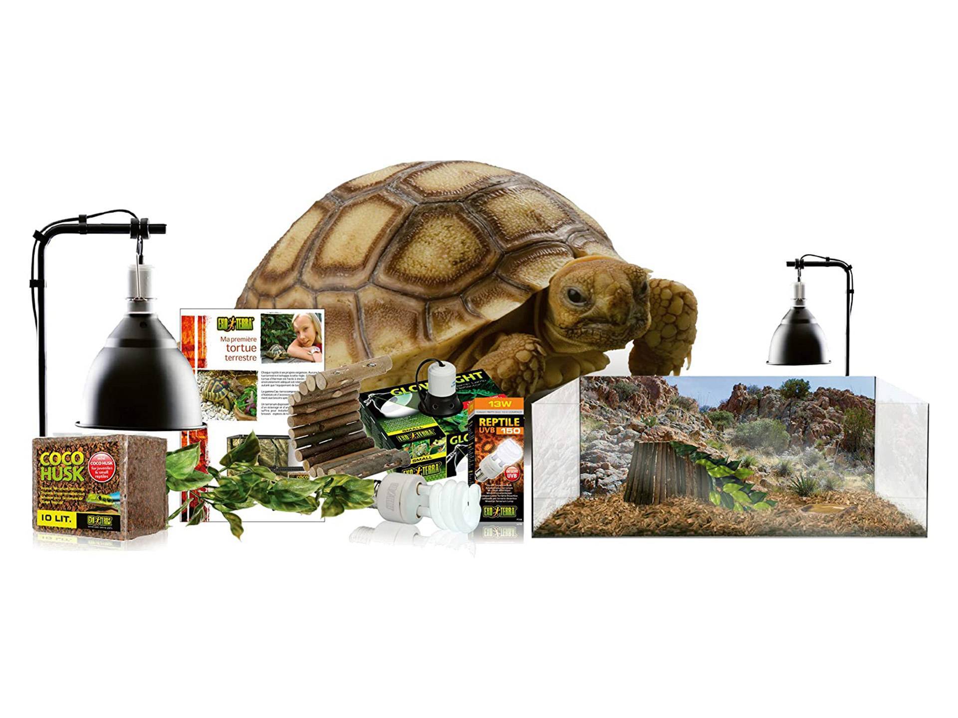Kit complet terrarium pour tortue de terre pas cher 60 cm Exo Terra neuvième