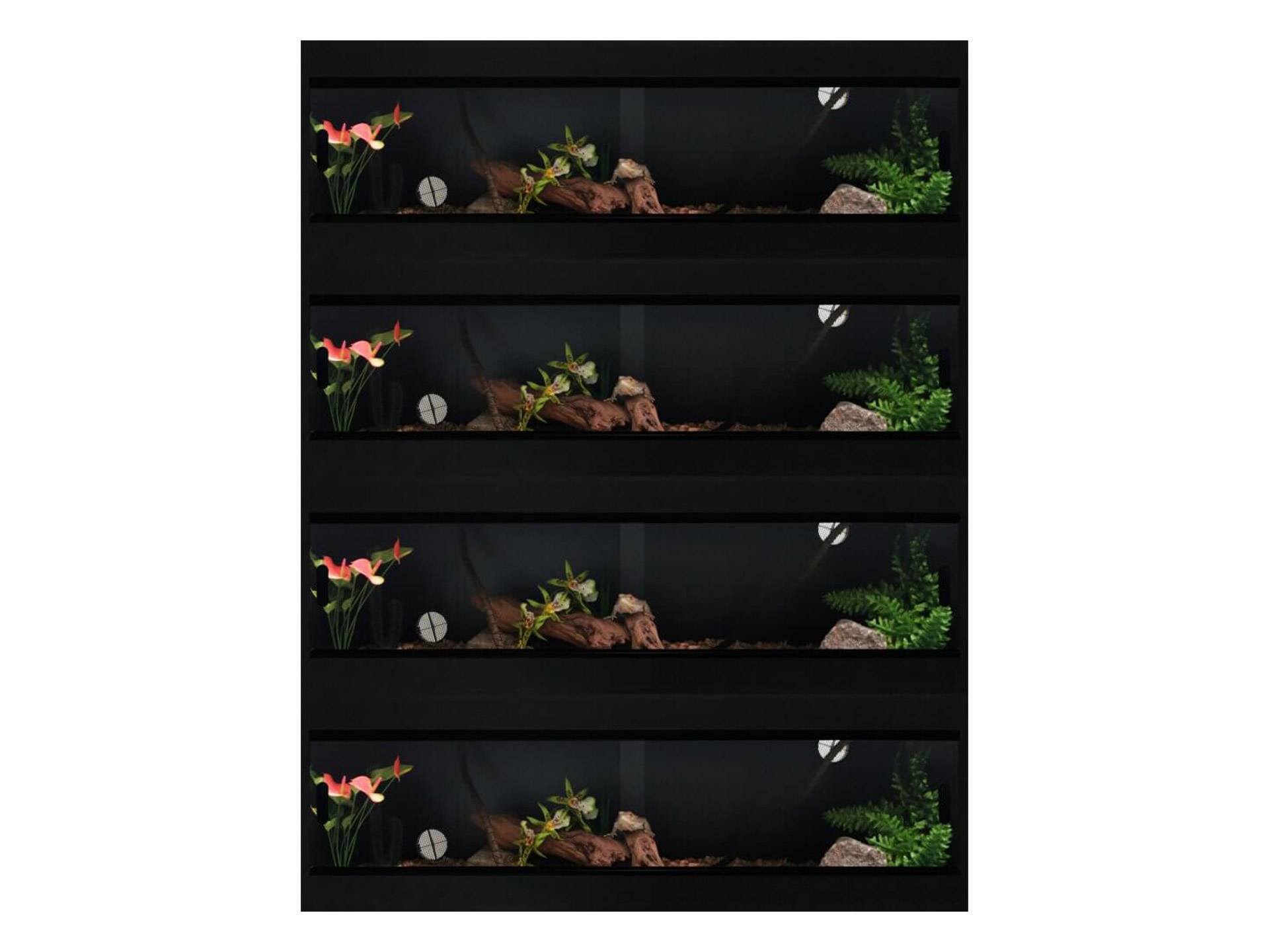Terrarium bois noir et verre panoramique pour tortue 122 cm Terapod  neuvième
