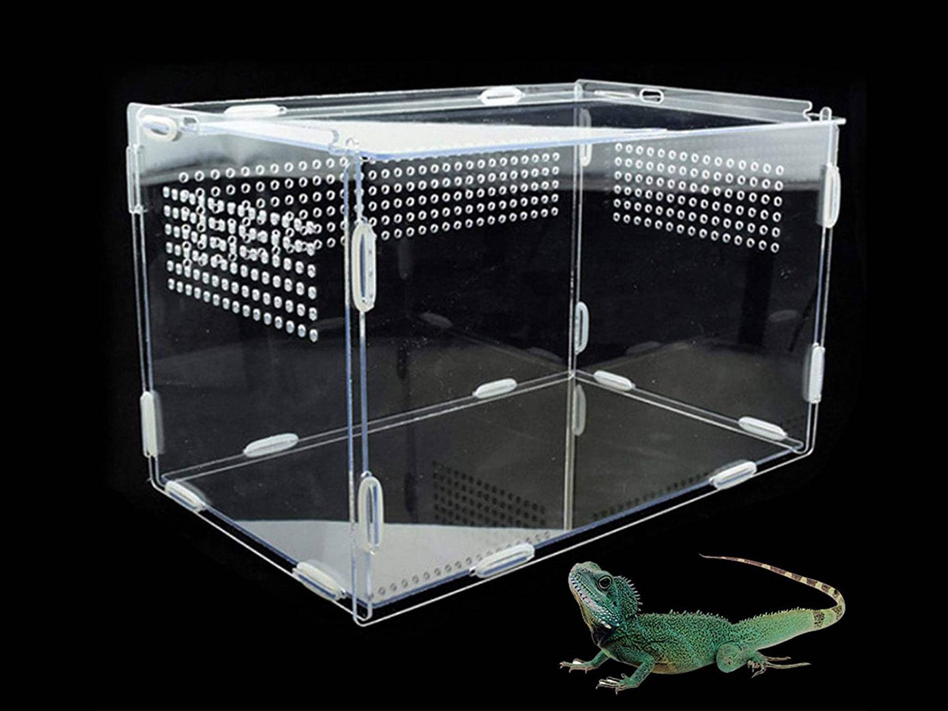 Boîte acrylique pour reptile transparente 33.5 cm Awayhall septième
