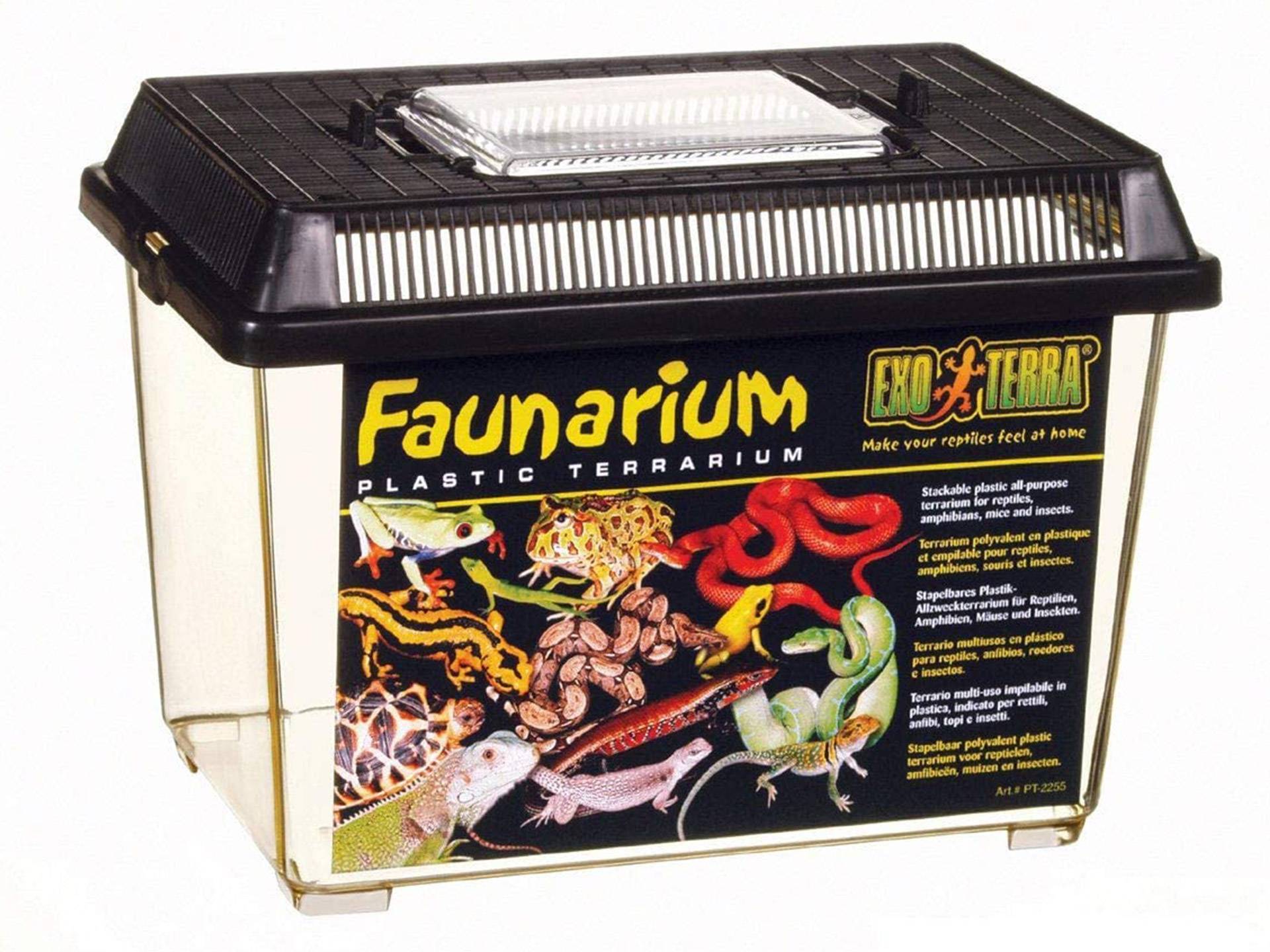 Petite boîte de transport de tortue en voiture 23 cm Exo Terra Faunarium troisième