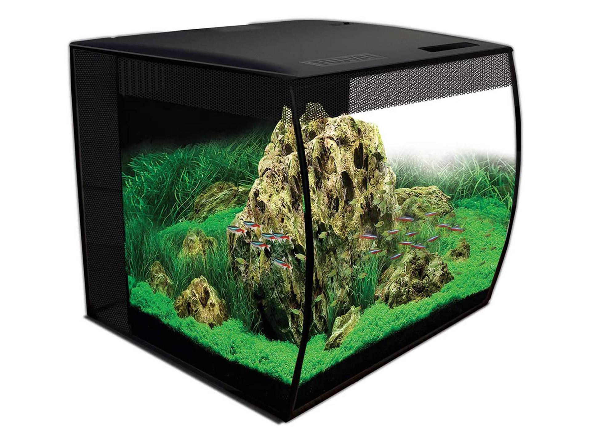 Aquarium tortue d'eau douce avec vitre concave 57 litres et led Fluval  huitième