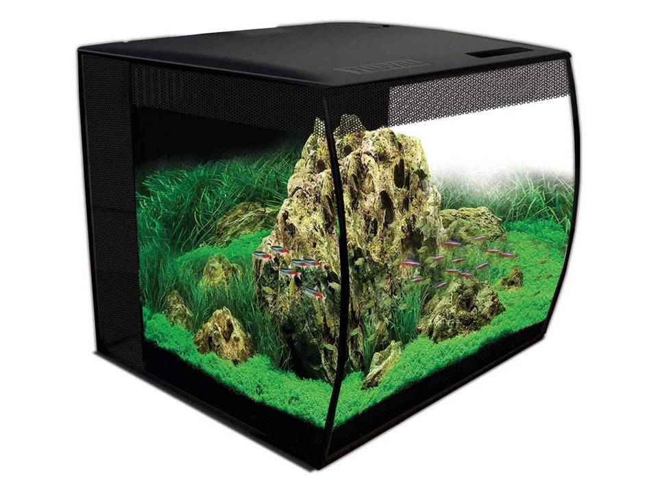 Aquarium tortue d'eau douce avec vitre concave 57 litres et led Fluval 