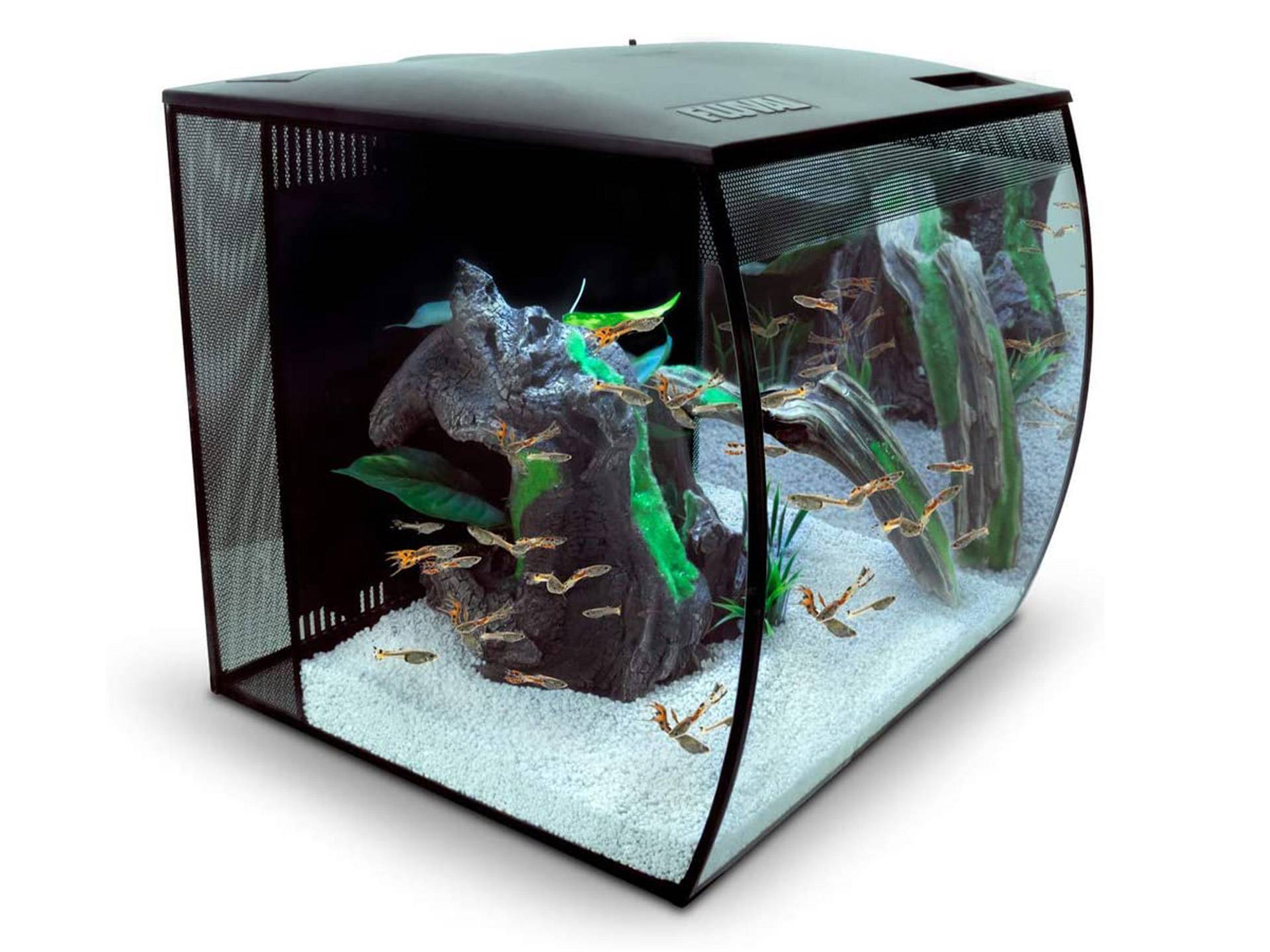 Aquarium tortue d'eau douce avec vitre concave 57 litres et led Fluval  septième