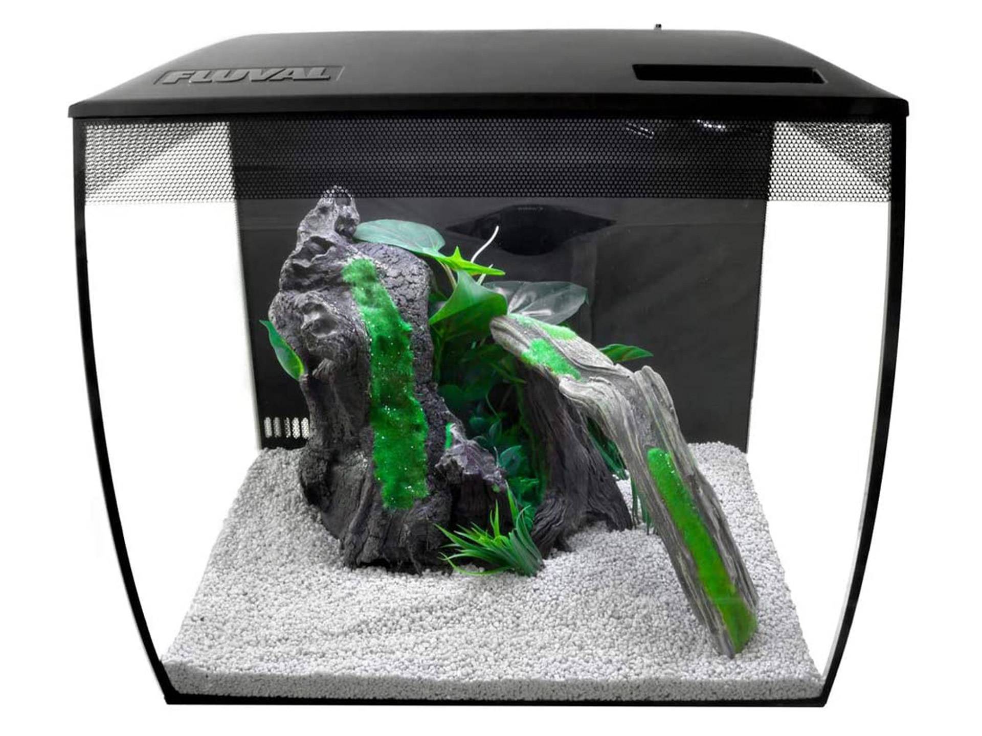Aquarium tortue d'eau douce avec vitre concave 57 litres et led Fluval  deuxième
