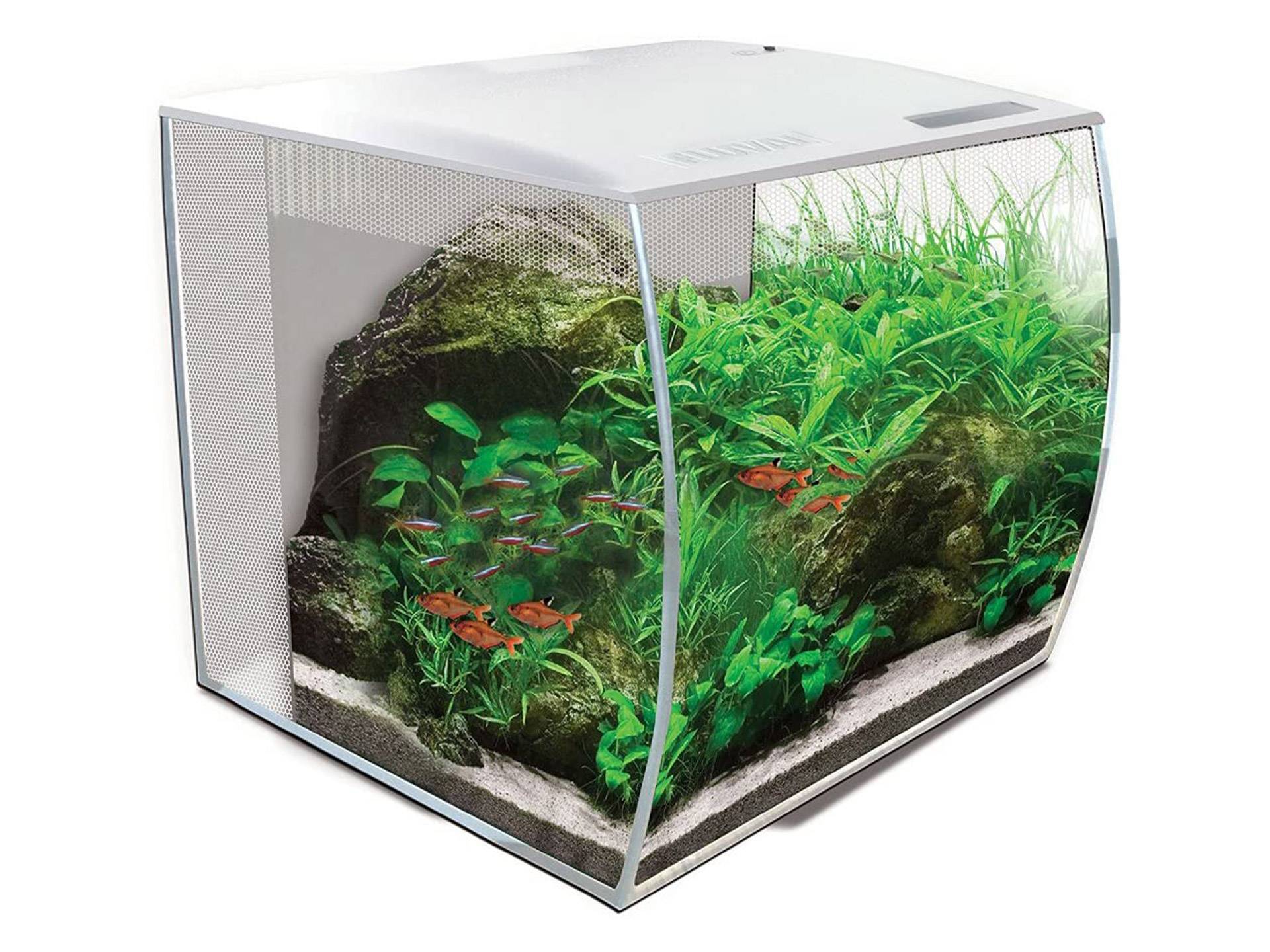 Aquarium tortue aquatique verre concave avec filtre et led Fluval troisième