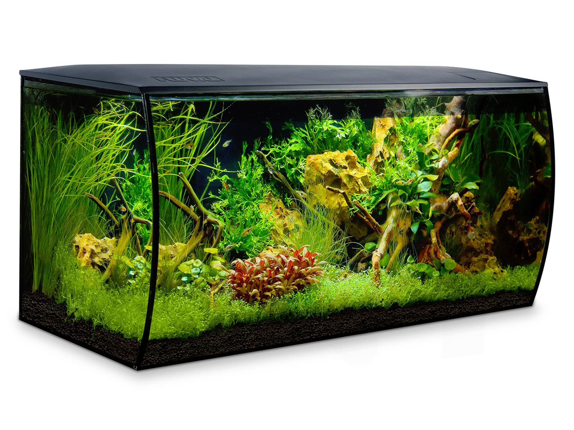 Aquarium pour tortue d'eau avec design courbé 123 litres Fluval  première