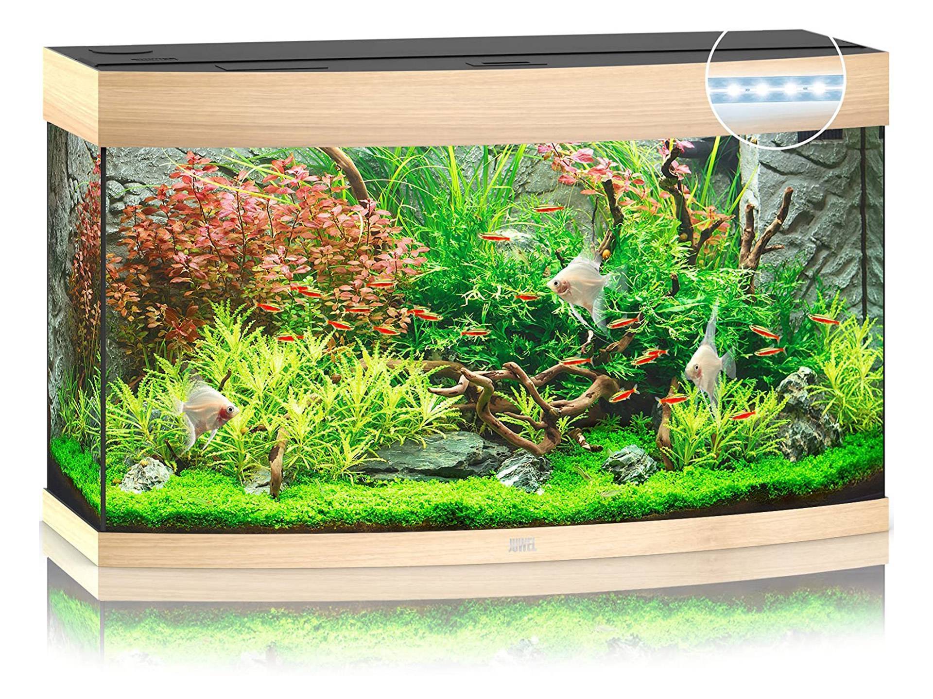 Aquarium tortue aquatique couleur bois clair 180 litres Juwel quatrième