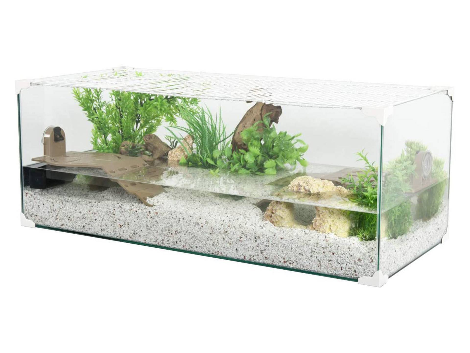 Aquarium pour tortue semi-aquatique 100 cm Zolux Karapas deuxième