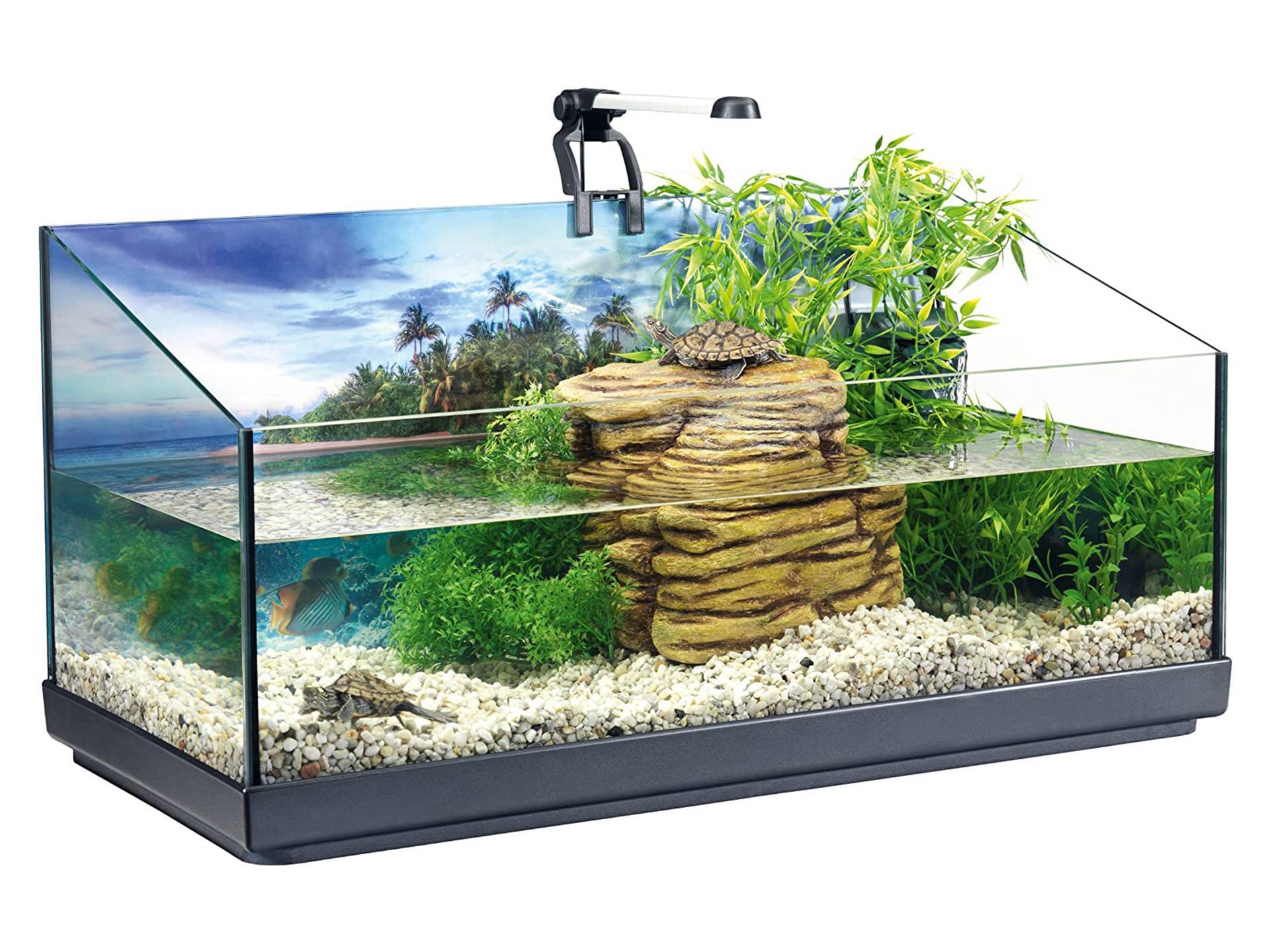 Aquaterrarium tortue avec accessoires 80 litres Tetra Repto AquaSet première