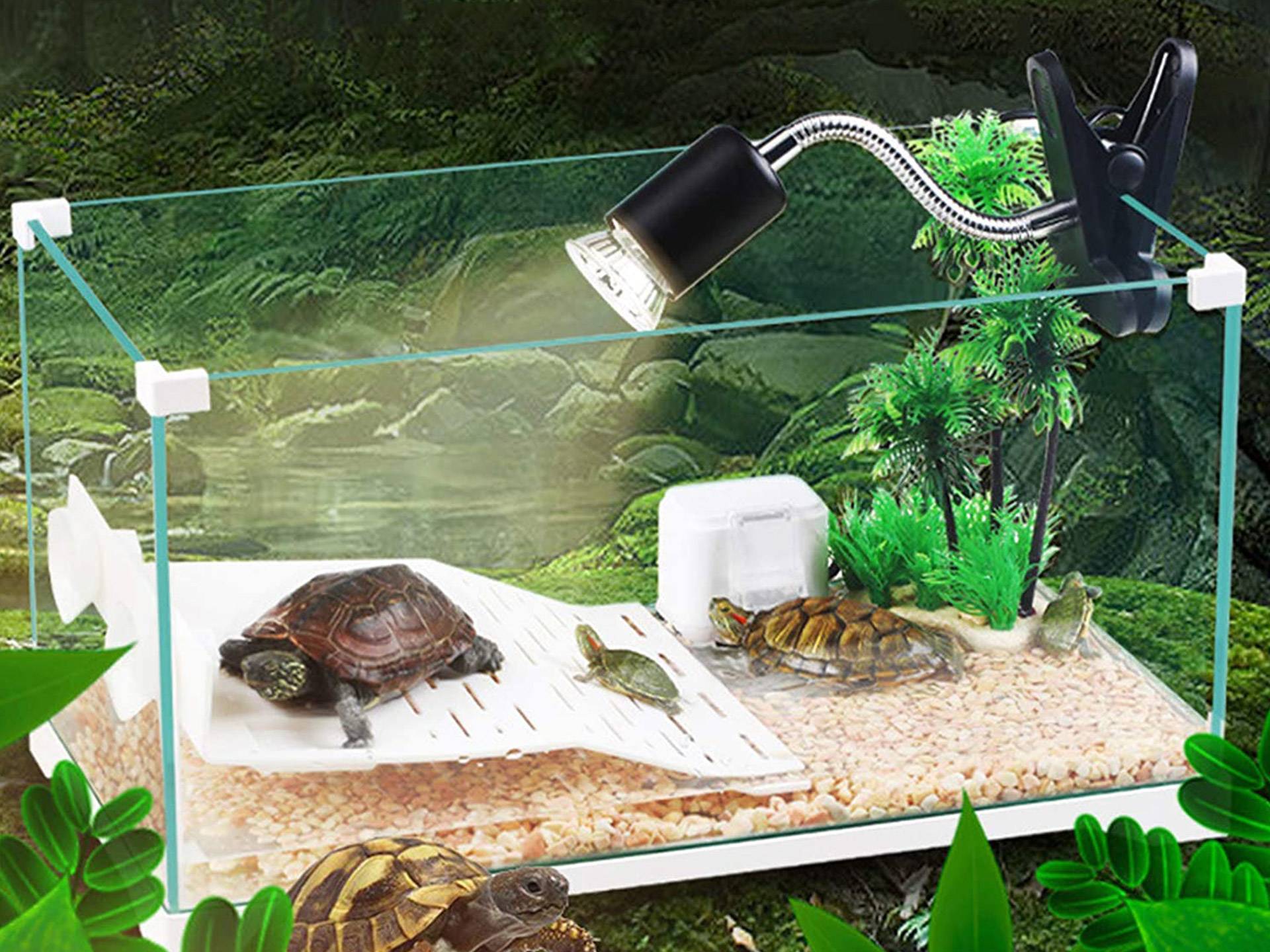 Aqua-terrarium tortue aquatique avec filtre plage et lampe troisième
