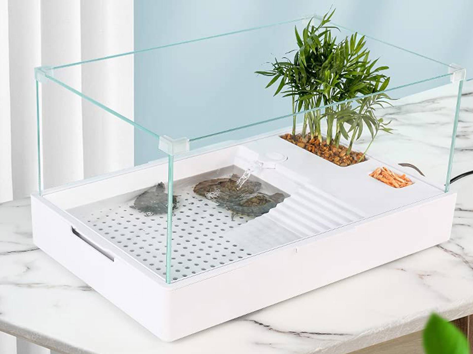 Bac pour tortue d'eau en plastique et verre avec filtration 57 litres huitième