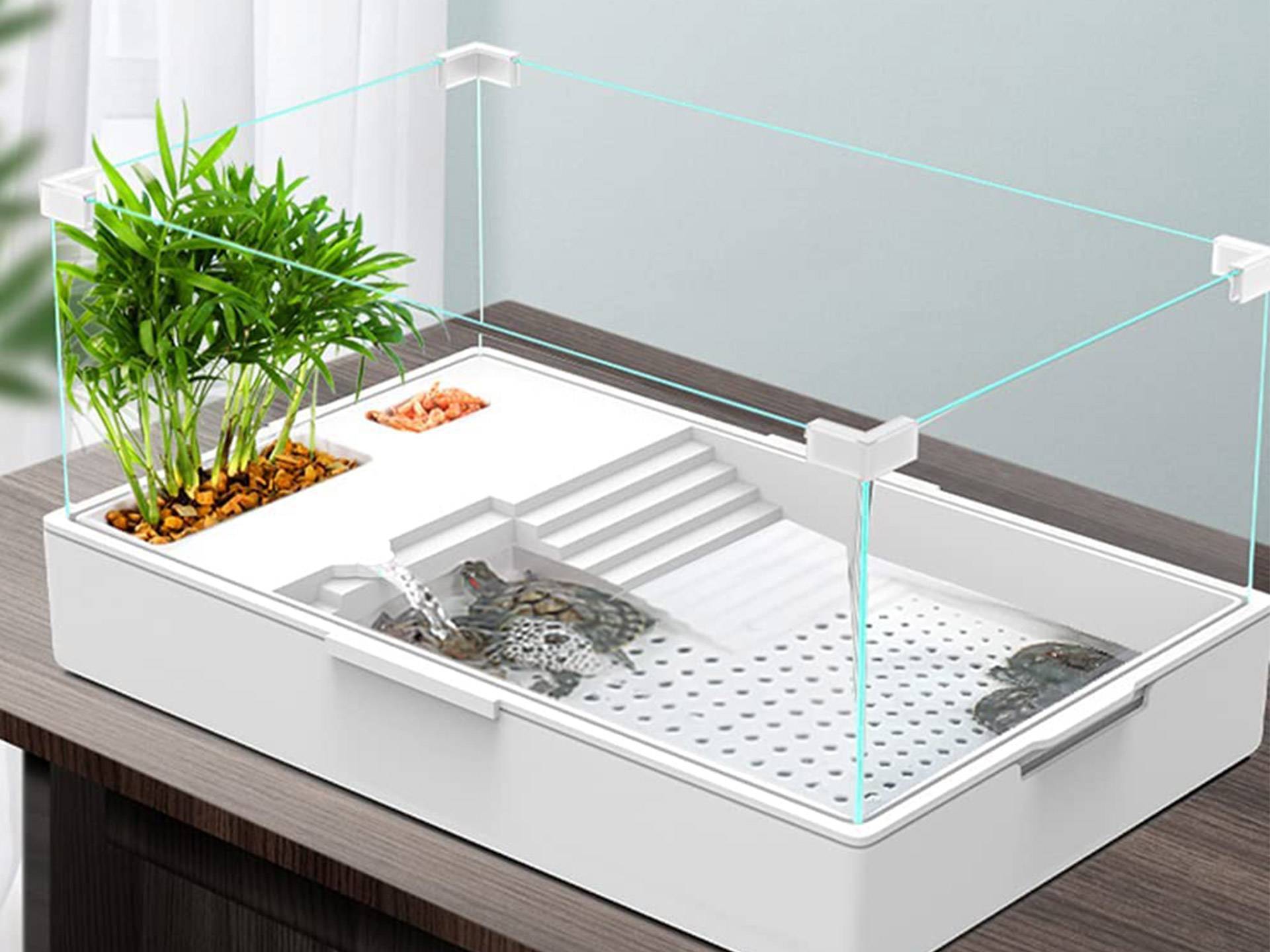 Bac pour tortue d'eau en plastique et verre avec filtration 57 litres quatrième