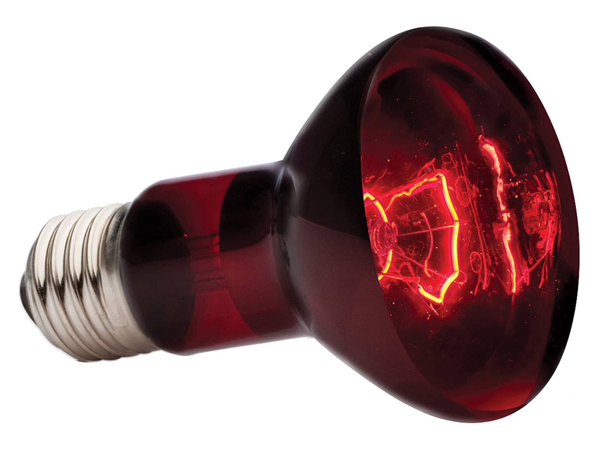 Lampe infrarouge chauffante pour reptile 75 watts Exo Terra deuxième