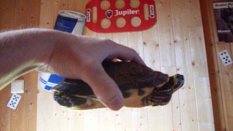 05c3b6fab6c27703379db8ac.jpg - torture 04