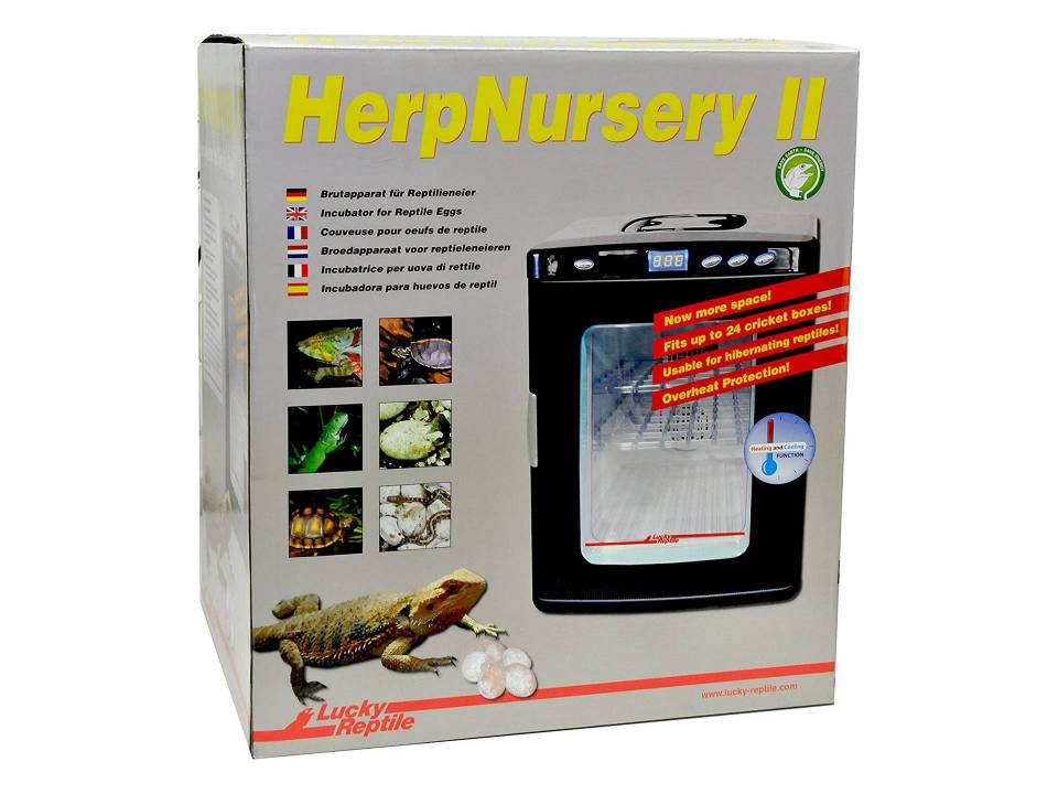 Incubateur pour oeufs de tortues Lucky Reptile Herp Nursery II