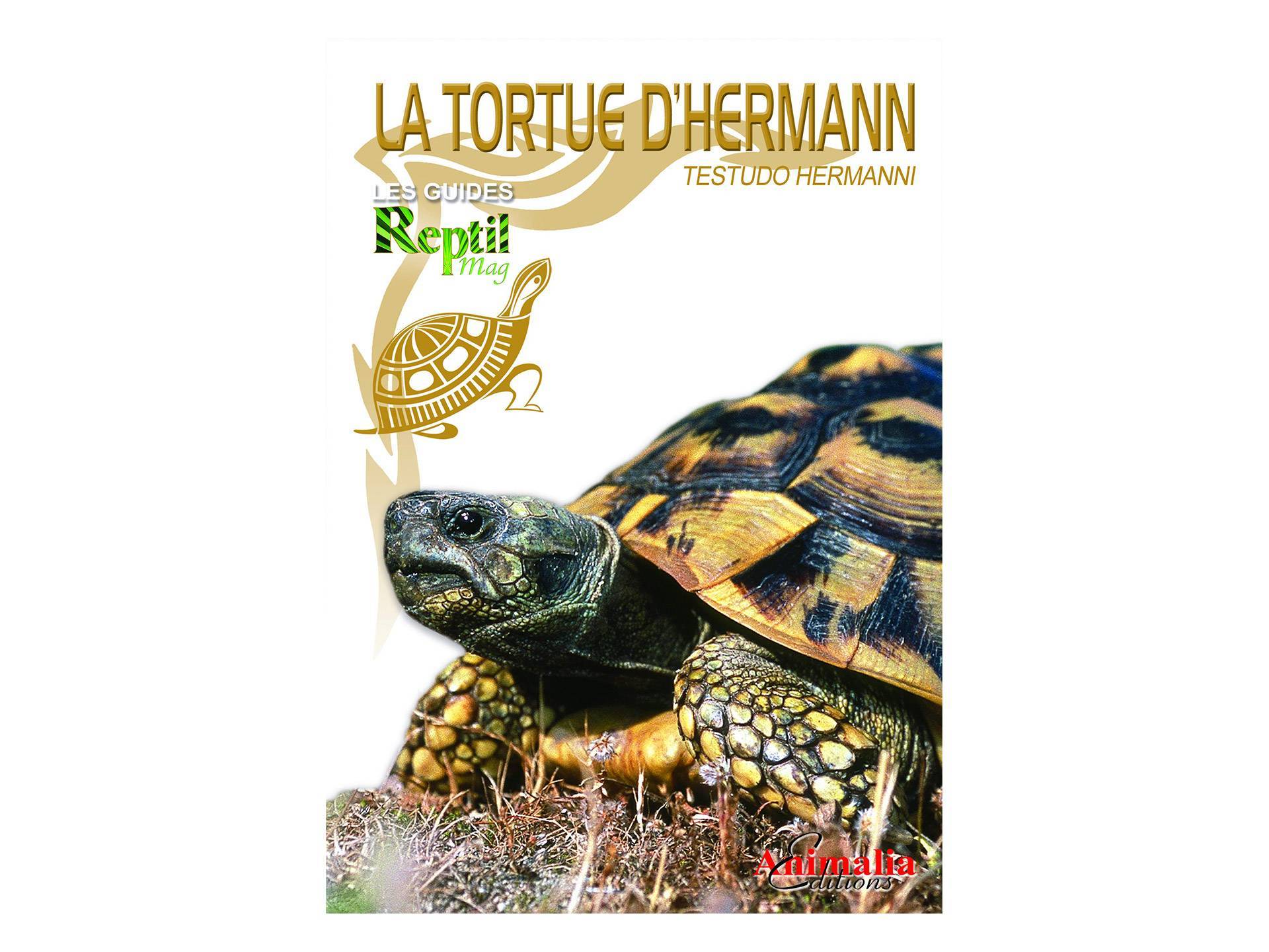 Livre La tortue d'Hermann Testudo hermanni Michael Schardt première
