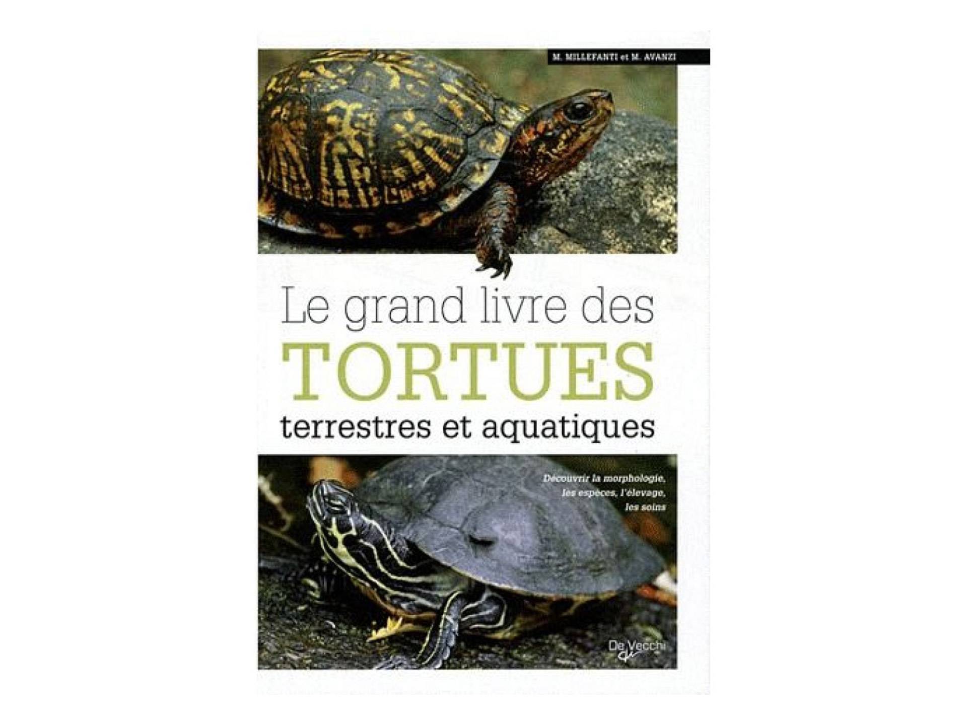 Le grand livre des tortues terrestres et aquatiques Massimo Millefanti huitième