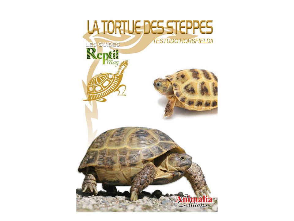 Livre La tortue des Steppes Thomas Wilms