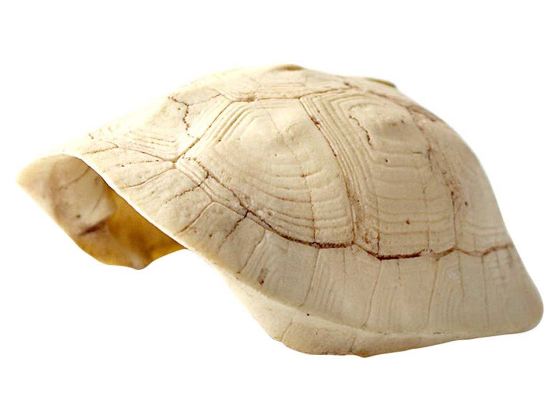 Cachette carapace de tortue en résine Omem deuxième