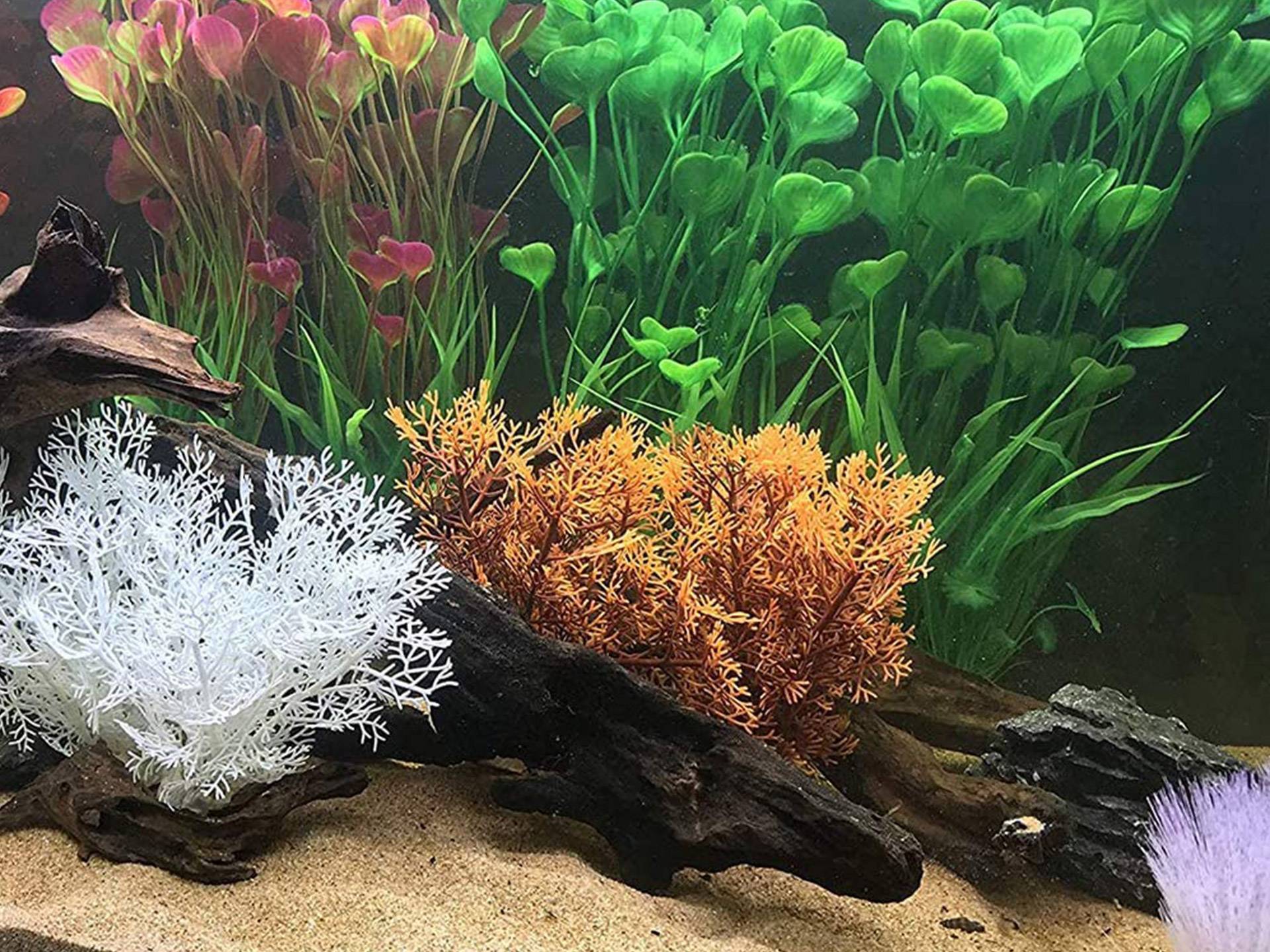 Lot de 2 plantes synthétiques d'aquarium Yuip huitième