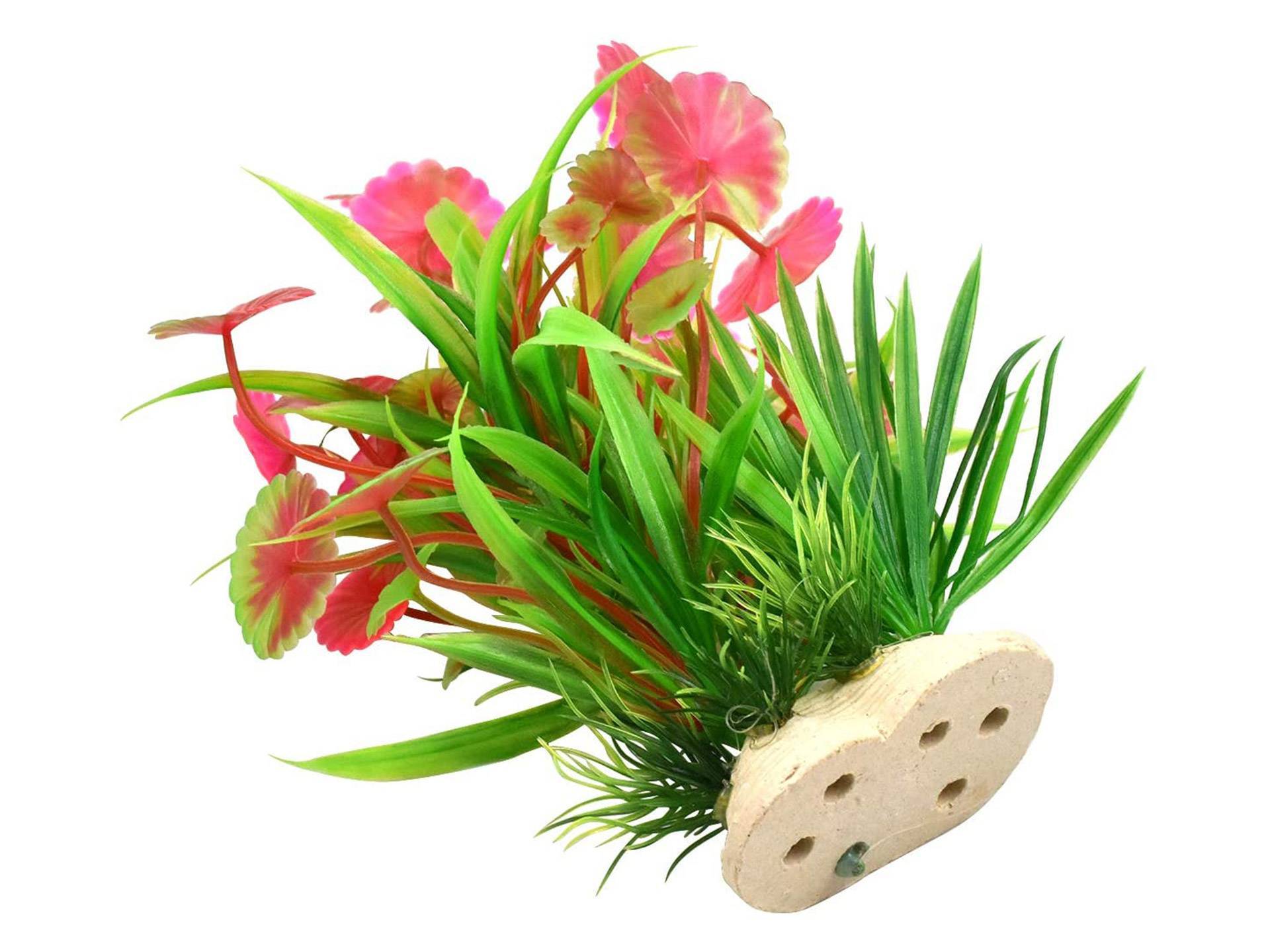 Lot de 3 plantes d'aquarium en plastique Dokpav septième
