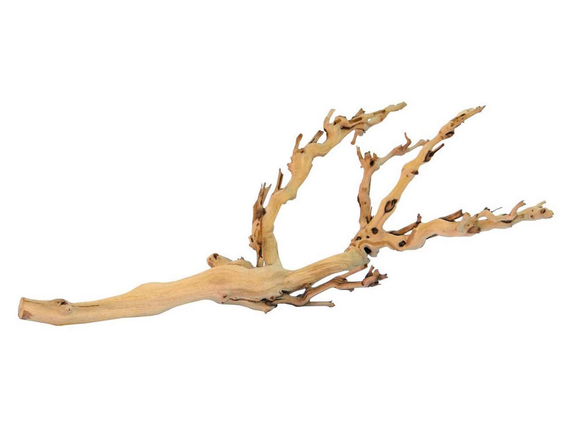 Racine en bois pour terrarium Exo Terra deuxième